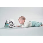 TafToys-Savannah-TummyTime-Book-T-12705-b